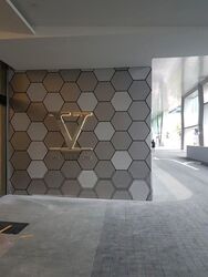 V On Shenton (D1), Apartment #470377071